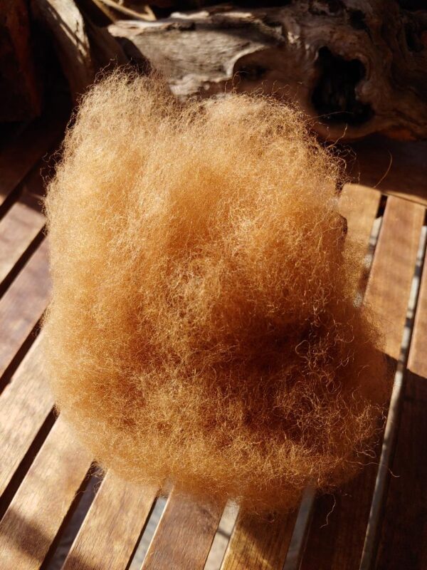 Hand-carded alpaca fiber