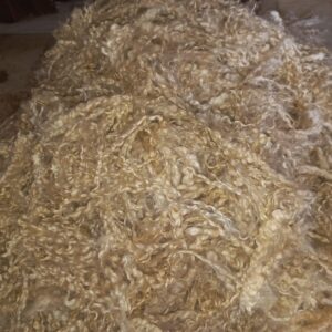 Wool - locks and fibre