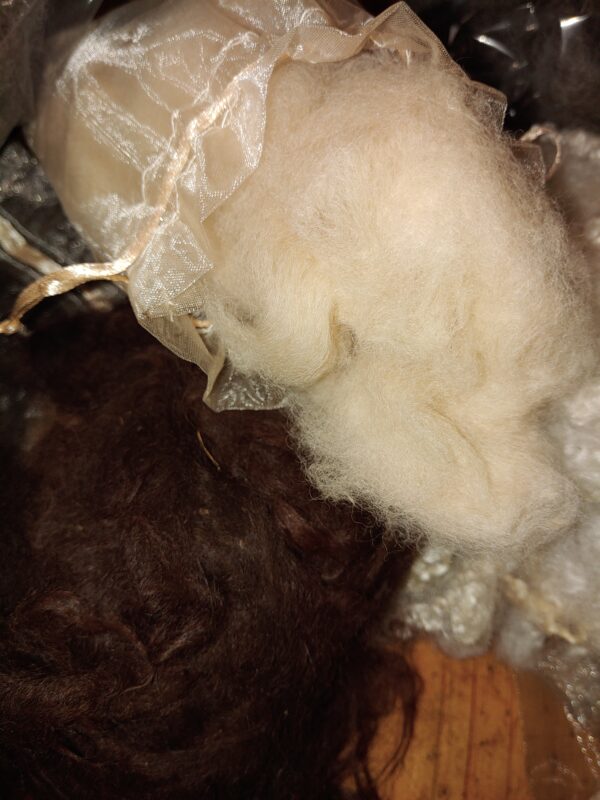 Alpaca spinning fibre