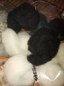 Shetland sheep fibre