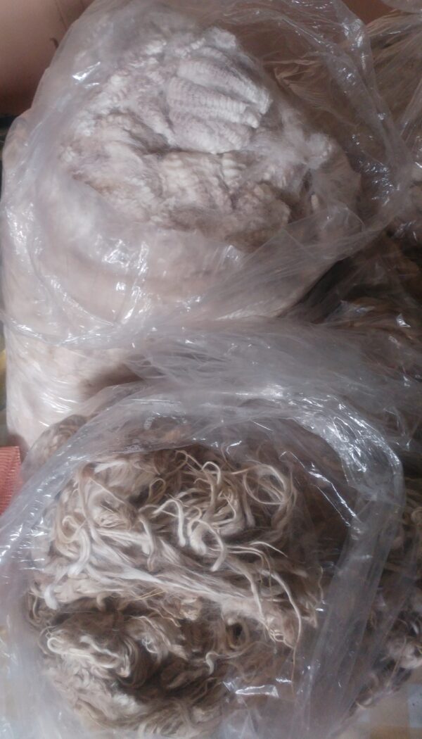 Bags of sheared Huacaya and suri fibre