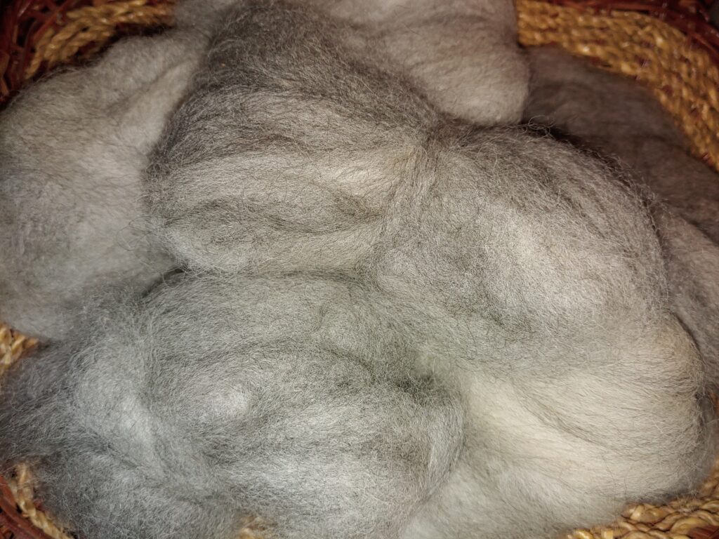 The true value of Alpaca fibre, and why it's pricey...