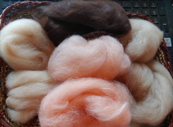 Hand carded alpaca top for spinning